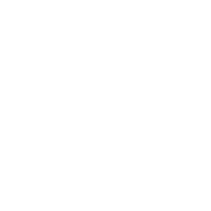 乳製品
